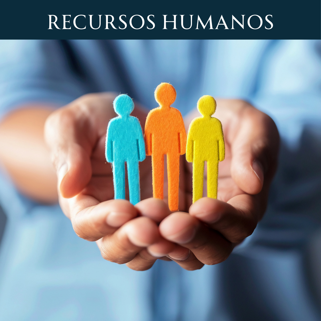 Diseños página web business corporate center (4)